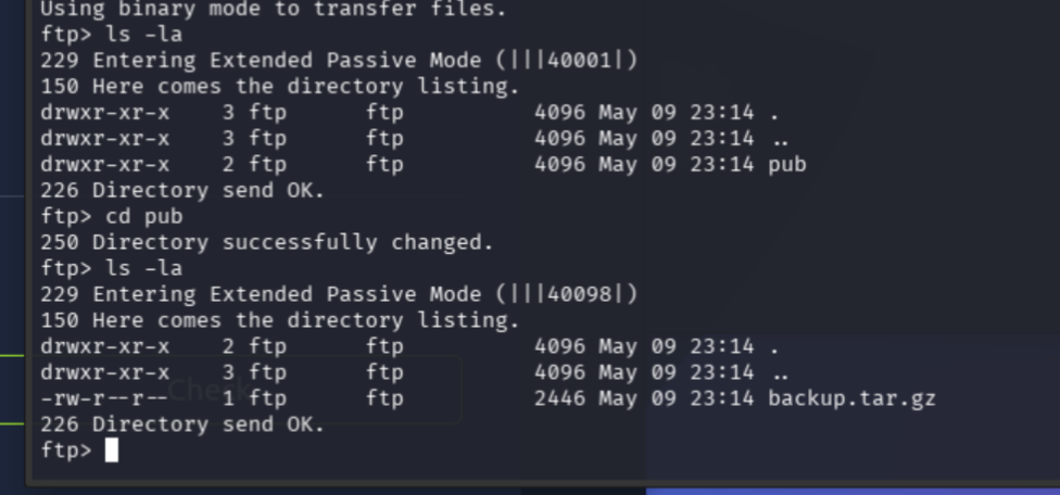 FTP pub directory listing showing backup.tar.gz
